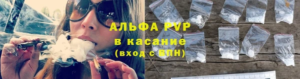 стаф Беломорск