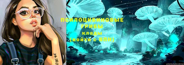 стаф Беломорск